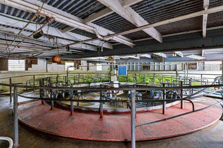 985 Manaia Road Kapuni_9