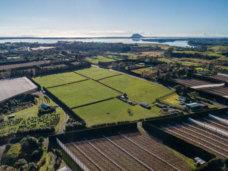 28 Armstrong Road Te Puna_5