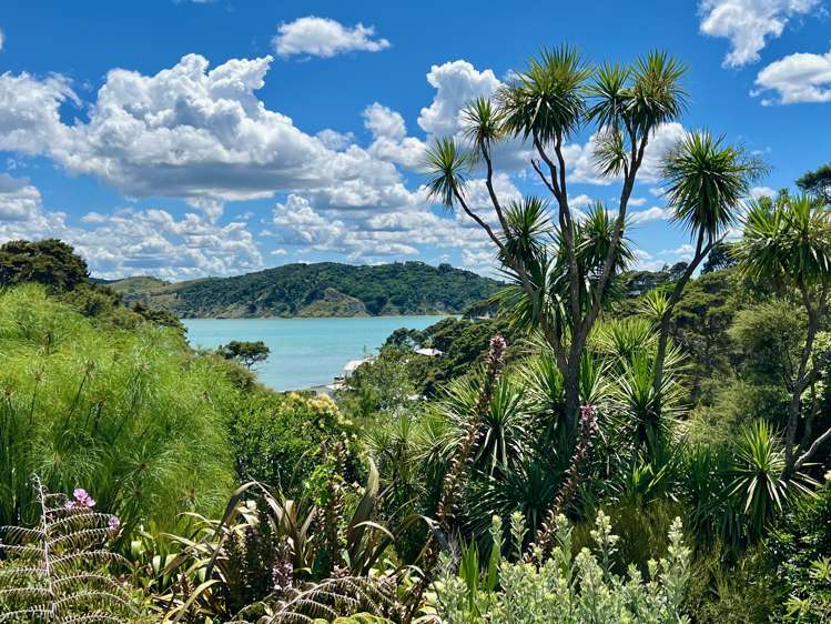 5c Sunshine Rise Raglan_2