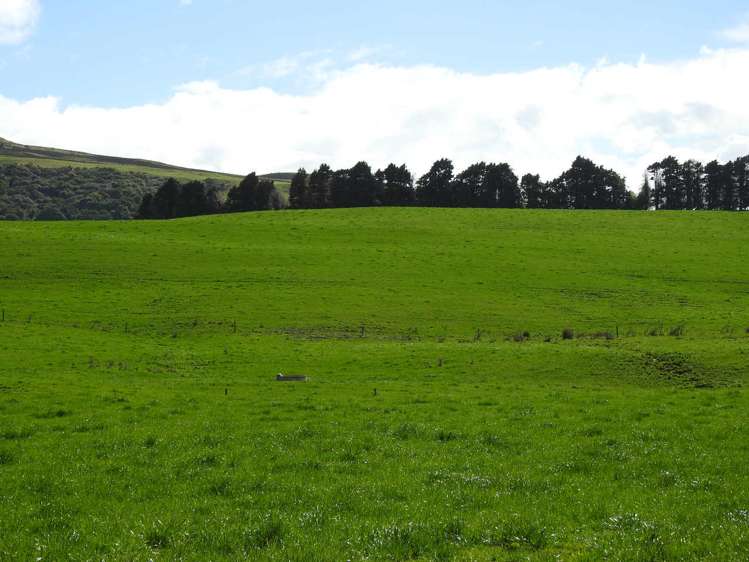 972 Slopedown Road Catlins Surrounds_18