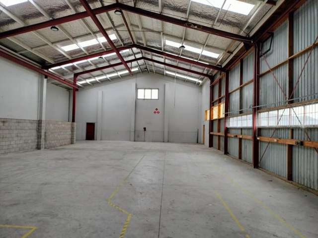 126 Ellis Street Frankton_2