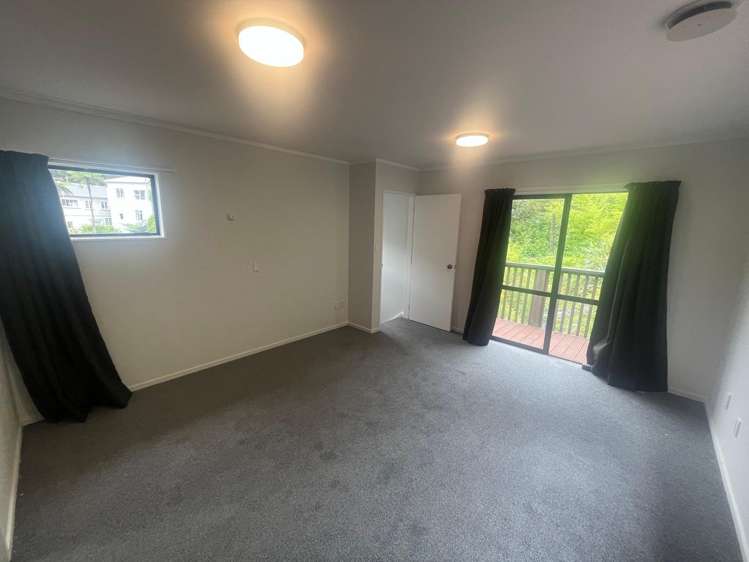 48 Norway Street Aro Valley_14