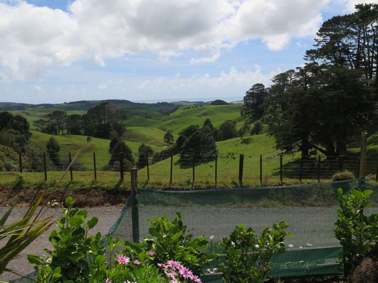 401 Maungatawhiri Road Raglan_18