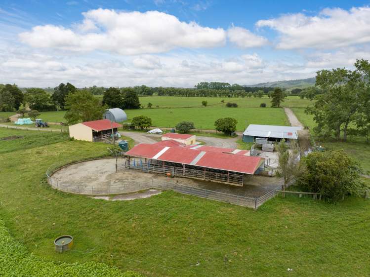 250 No 8 Road Morrinsville_4