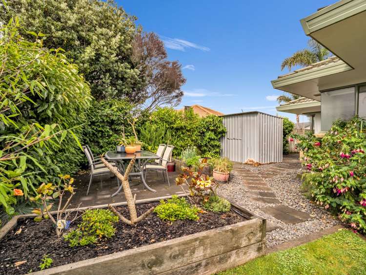 36 Olympus Grove Papamoa Beach_19