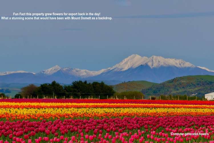 Willowbridge Road Waimate_12