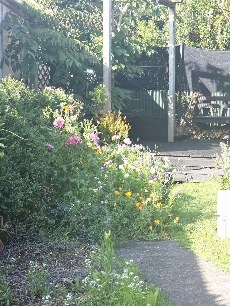 4A Arran Place Aramoho_12