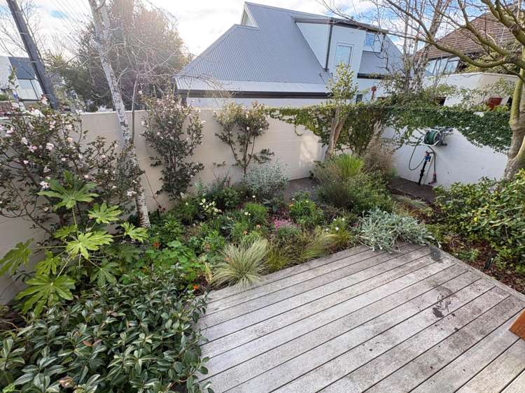  A/24 Tonbridge Street Merivale_14