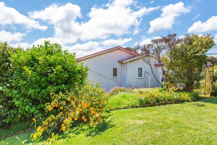 5 Park Drive Raglan_9