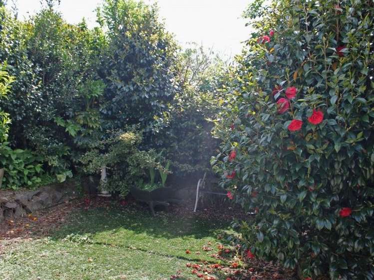 47 Windsor Drive Tairua_8