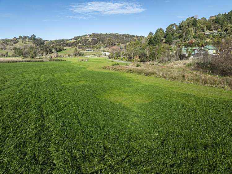 342 Hill Road Eskdale_7