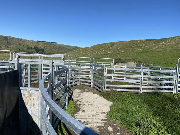 48 Heathfield Road Waipara_24