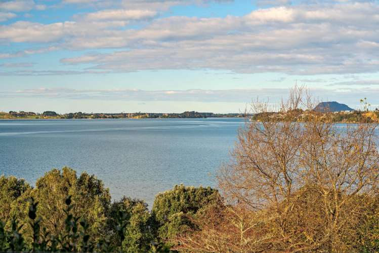 340B Pahoia Road Whakamarama_49