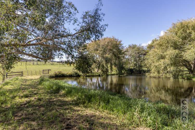 1226 State Highway 16 Waimauku_37