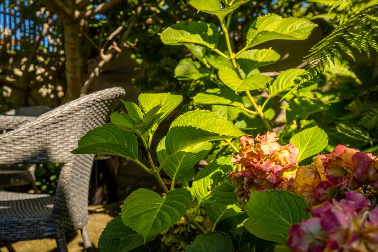 1/96 Point Road Monaco_16