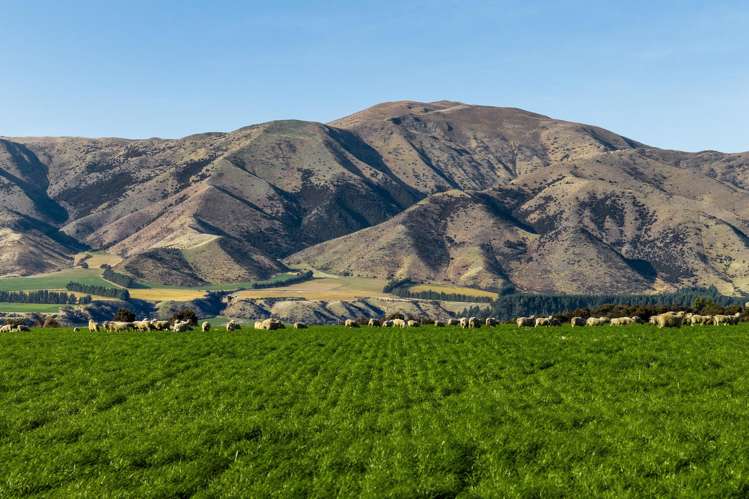 Lot 3, Northview Terraces Luggate_7