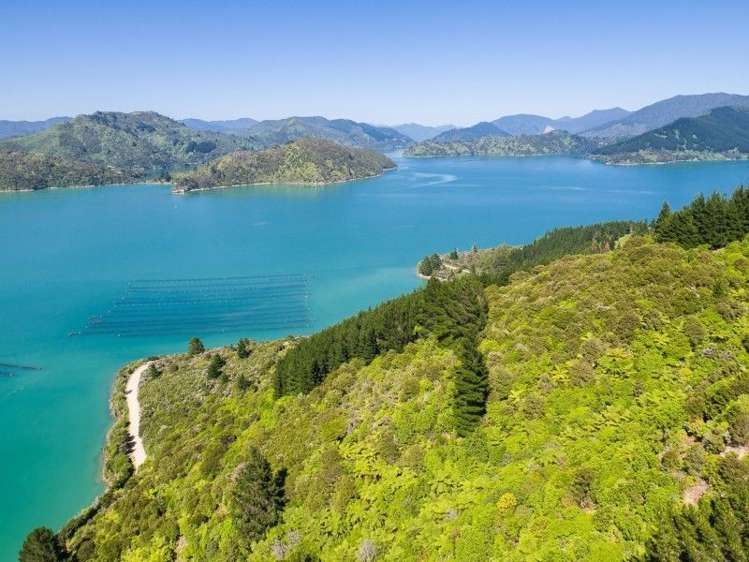 Waitaria Bay Kenepuru Sound_7