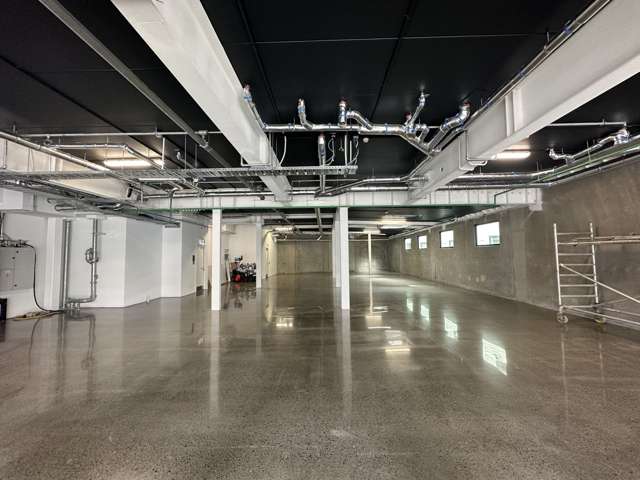 4-8 Rose Road Ponsonby_2