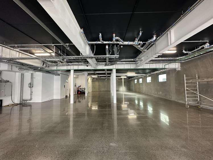 4-8 Rose Road Ponsonby_2