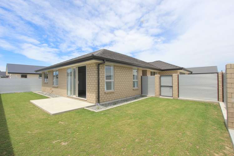 35 Camborne Crescent Blenheim Central_6