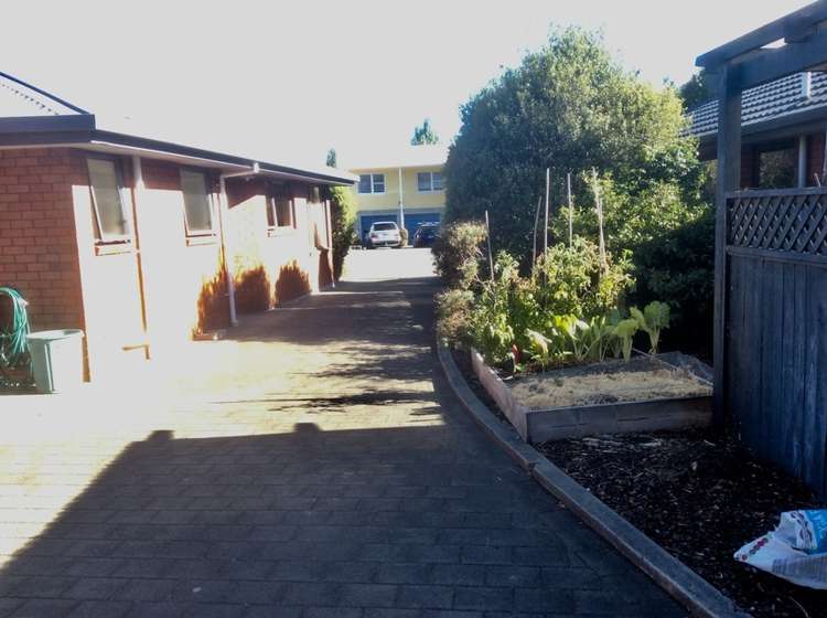 53 Golf Road Tahunanui_14