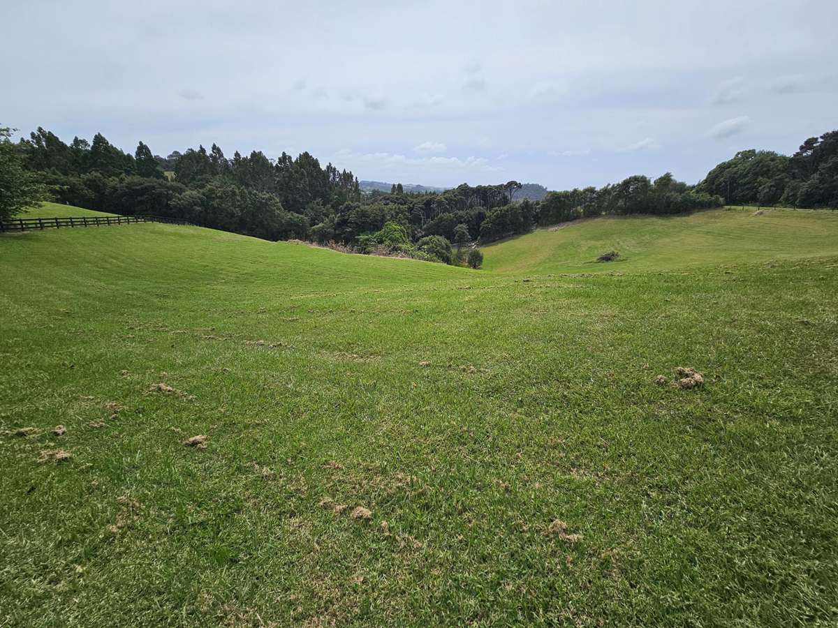 214a Three Oaks Drive_1