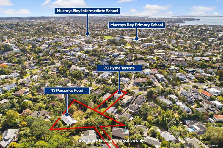43 Penzance Rd / 30 Hythe Terrace Mairangi Bay_3