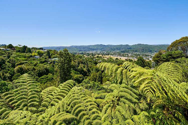 60 Pomare Road Tirohanga_28