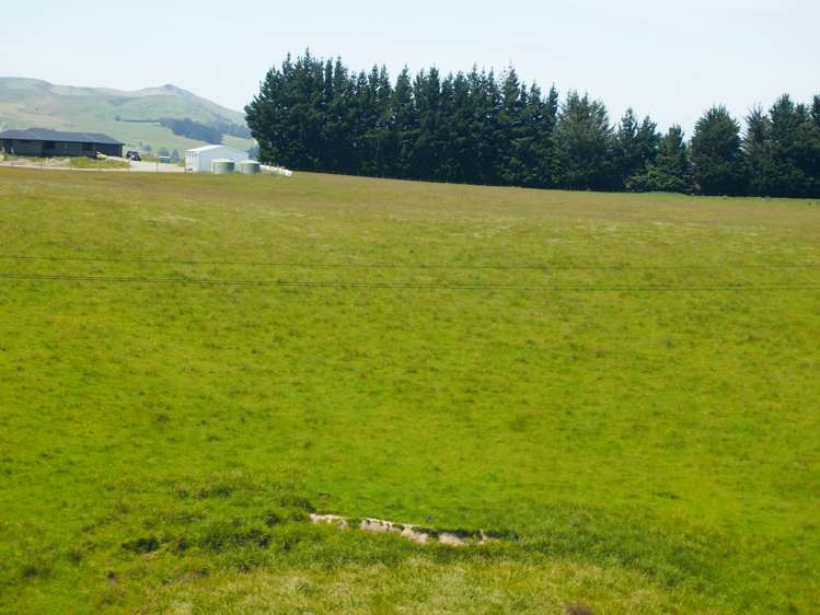 210 Terry Road Gore_7