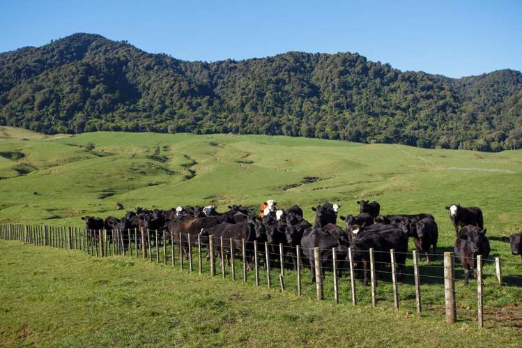 134 Old Te Aroha Road Te Poi_41