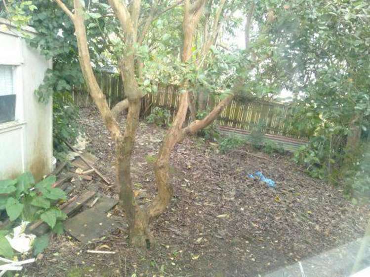 18 Parry Road Mount Wellington_6