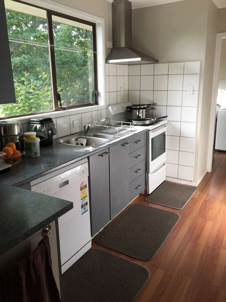 99 Bruce Mclaren Road Henderson_7