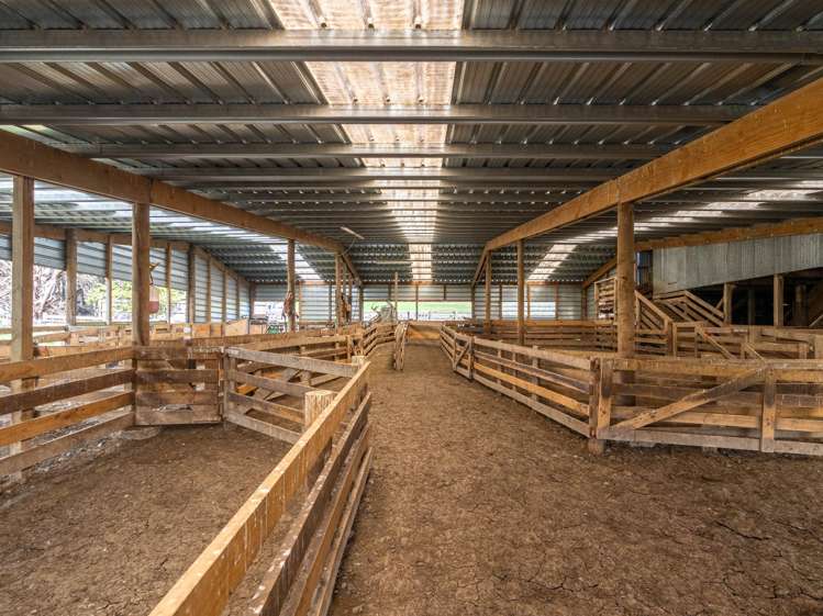 722 Castle Hill Road Alfredton_12