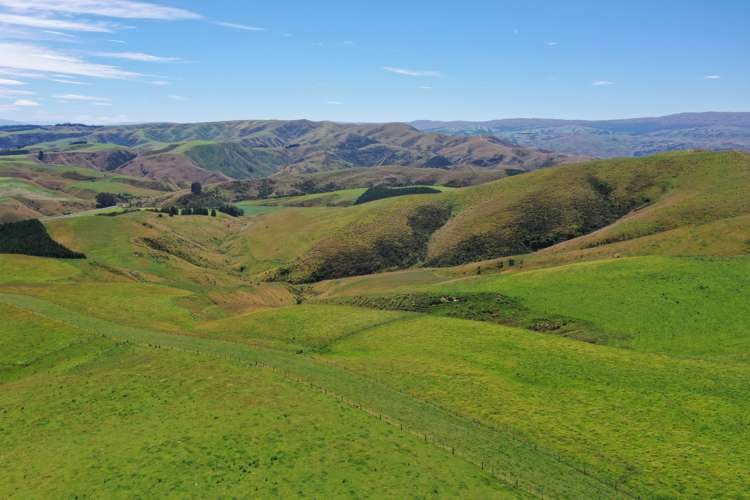 2230 Tapanui Raes Junction Highway Clutha_6