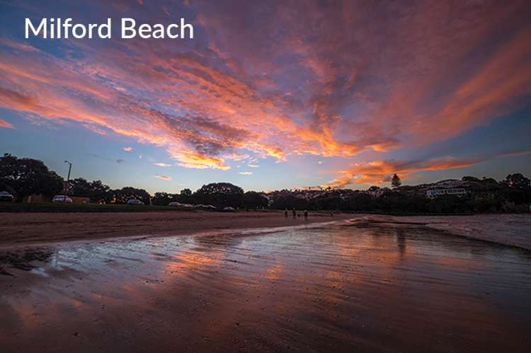 100 Braemar Road Castor Bay_19