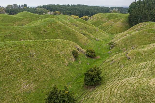 81 Kaiwaka Road Tangoio_4