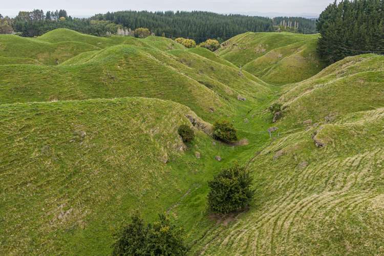 81 Kaiwaka Road Tangoio_4