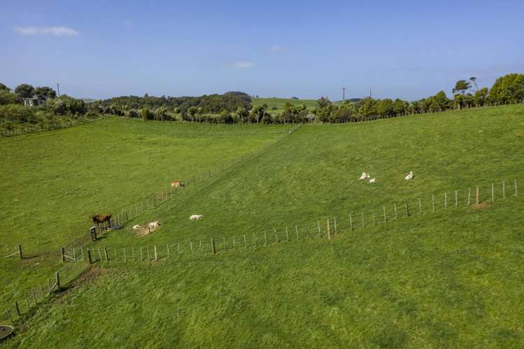 352 Te Papatapu Road Raglan_35