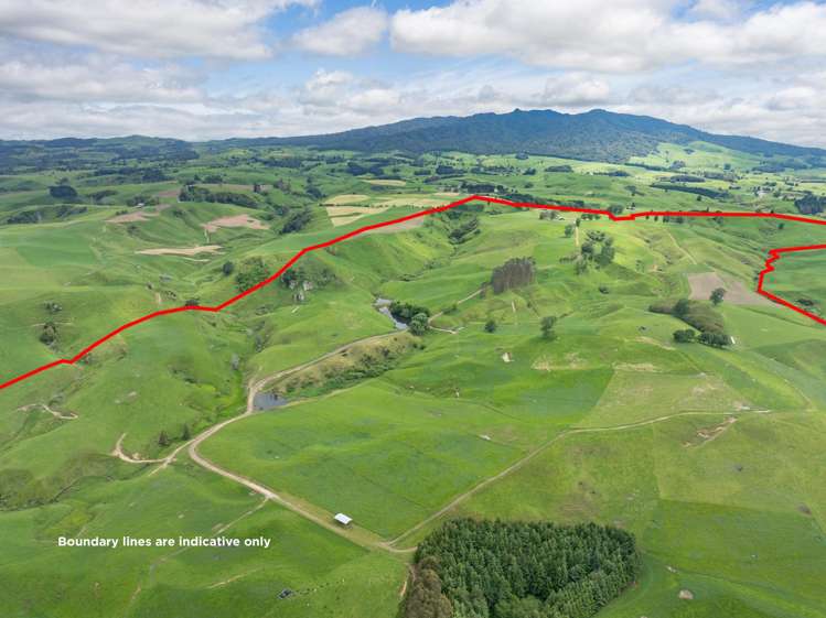 196 Waimanu Road Pukeatua_27
