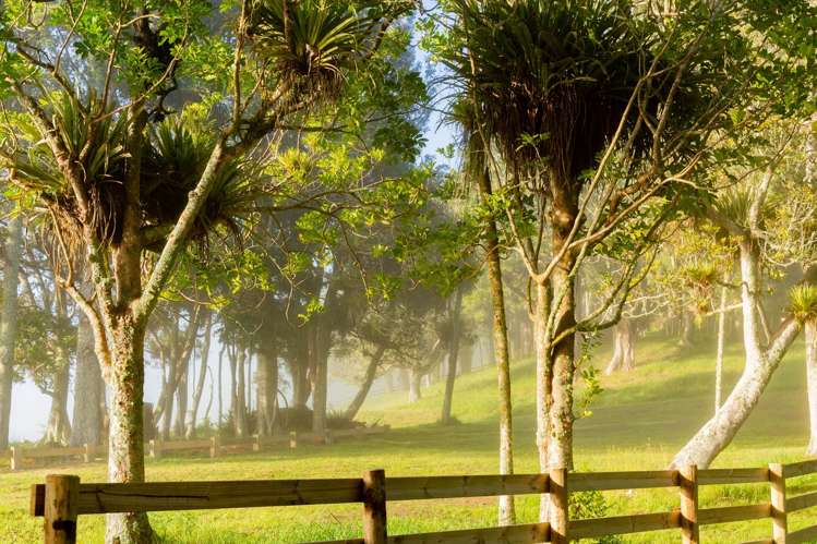 Lots 1-22 Kukupa Rise Ngararatunua_13