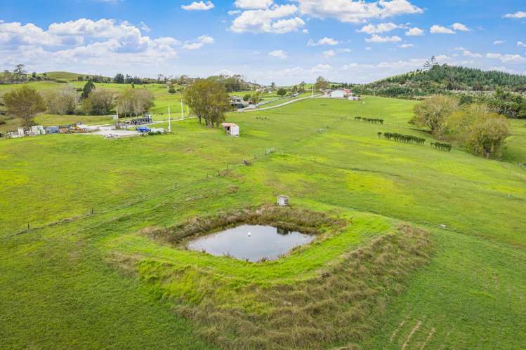 40 Ross Road Topuni_11