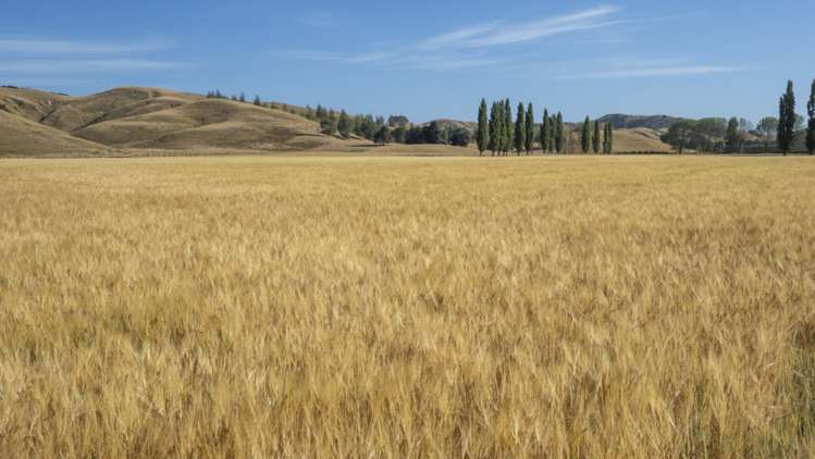 1231 Longbush Road Longbush_19