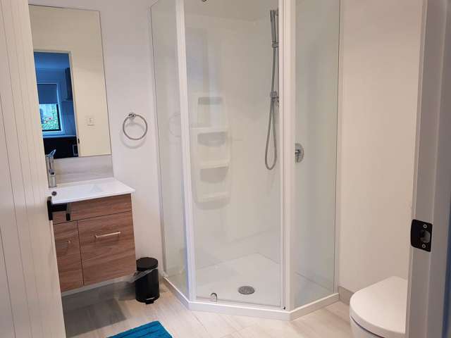 Furnished Studio Unit in Yulia Road, Flat Bush