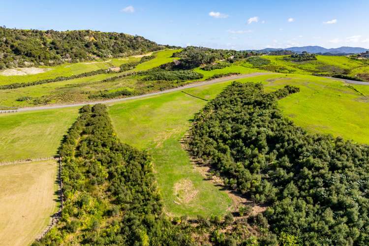 Lot 2 Kauri Fields Way Mangawhai_9