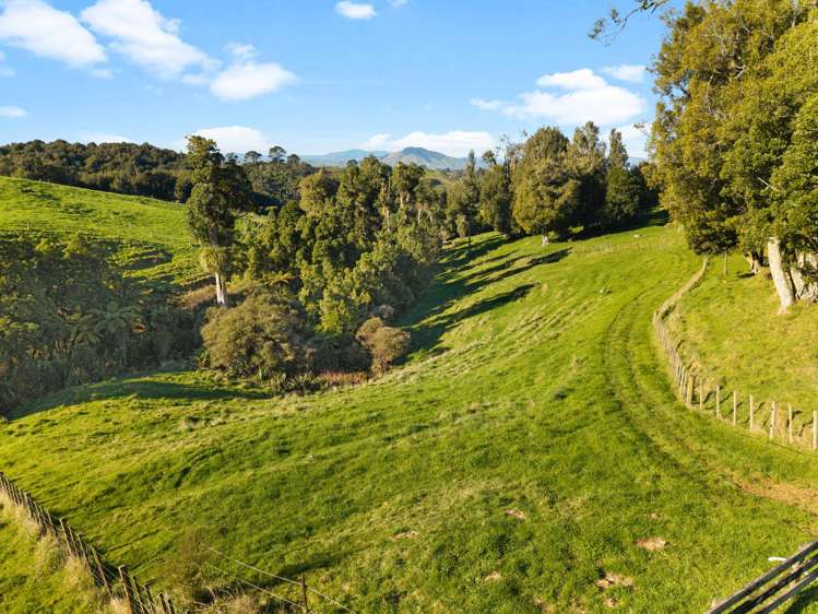 194D Pekanui Road Pirongia_24