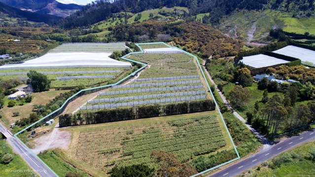 41D Ross Ware Drive Athenree_1