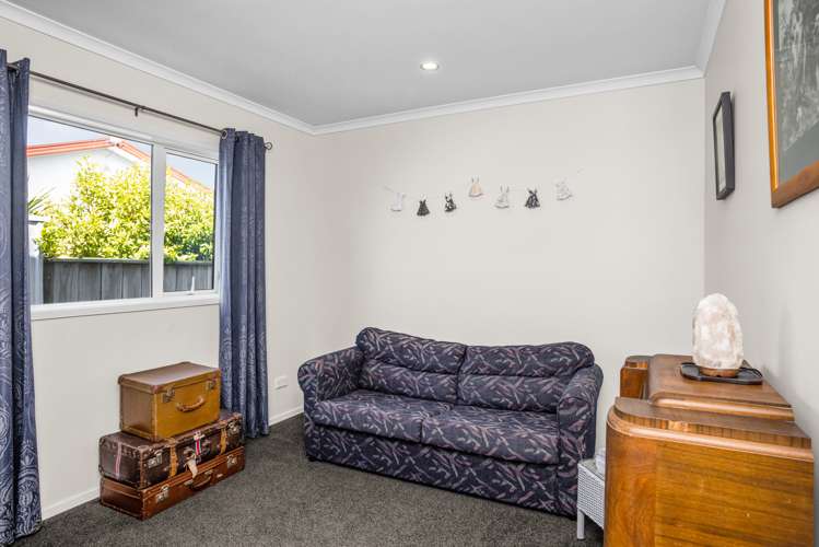 117a Nelson Crescent Napier South_8