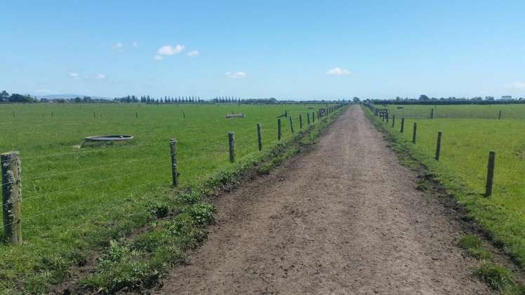 223 No 1 Road Waitoa_12