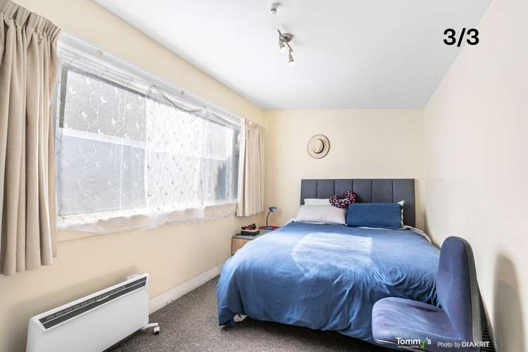 3 Alameda Terrace Aro Valley_14