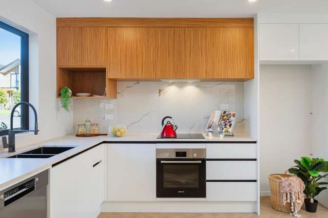 1E Wesley Avenue Mount Albert_1